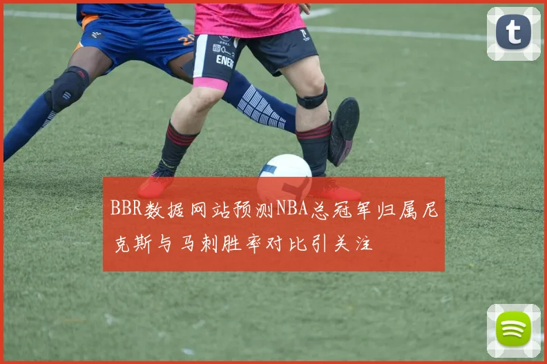 BBR数据网站预测NBA总冠军归属尼克斯与马刺胜率对比引关注